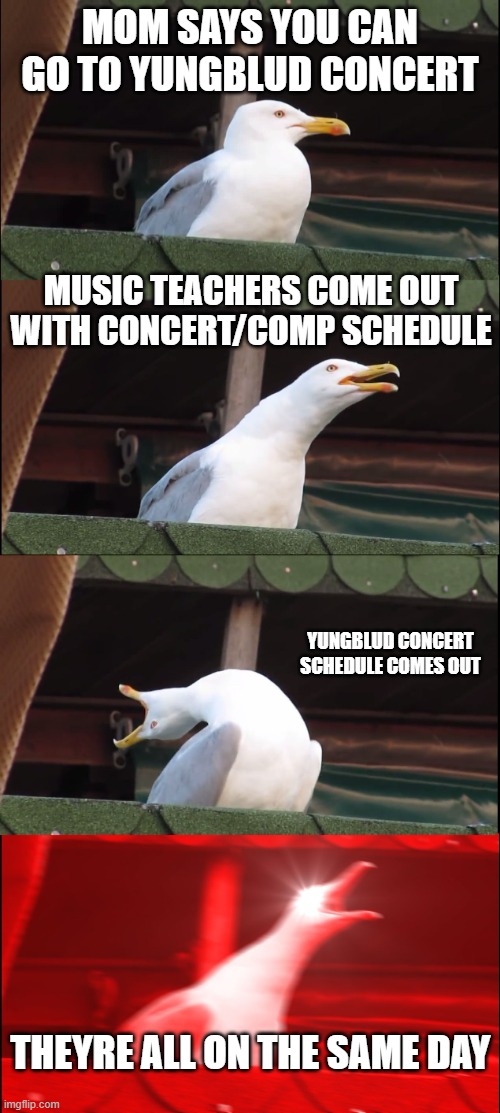 Inhaling Seagull | mom says you can go to yungblud concert; Music teachers come out with concert/comp schedule; Yungblud Concert schedule comes out; Theyre all on the same day | image tagged in memes,inhaling seagull | made w/ Imgflip meme maker