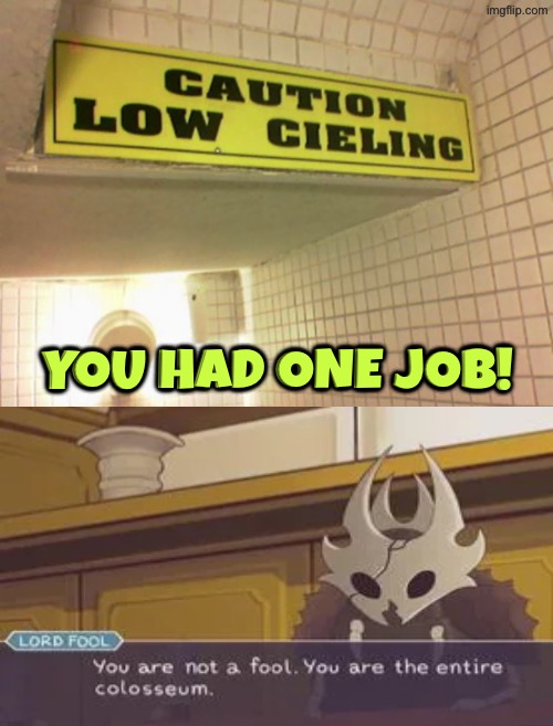 Low Cieling | You had one job! | image tagged in you had one job,fool,spelling error,duhhh dumbass,do you are have stupid,dafuq did i just read | made w/ Imgflip meme maker