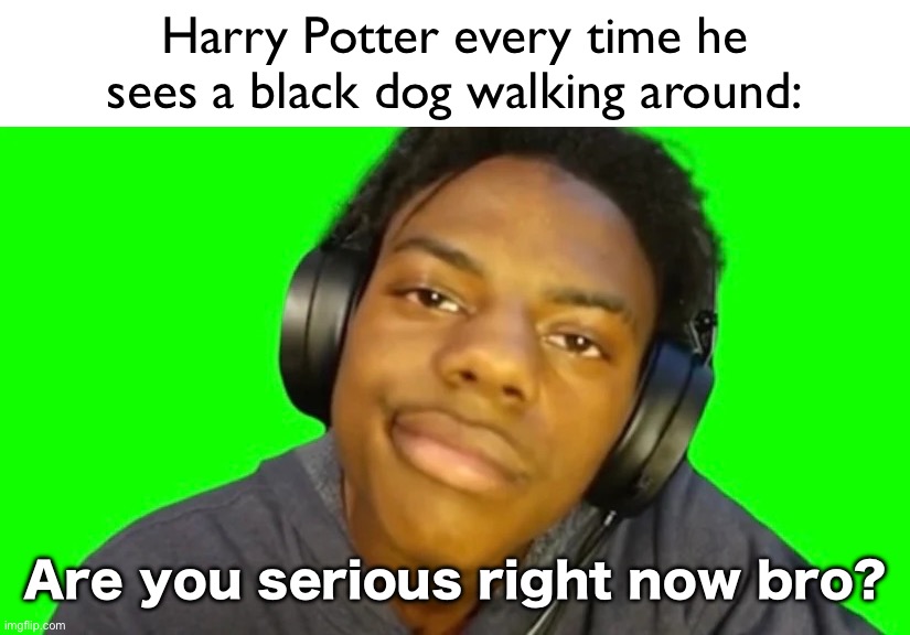 Unc | Harry Potter every time he sees a black dog walking around:; Are you serious right now bro? | image tagged in ishowspeed are you serious right now bro,harry potter,funny,fun,memes | made w/ Imgflip meme maker