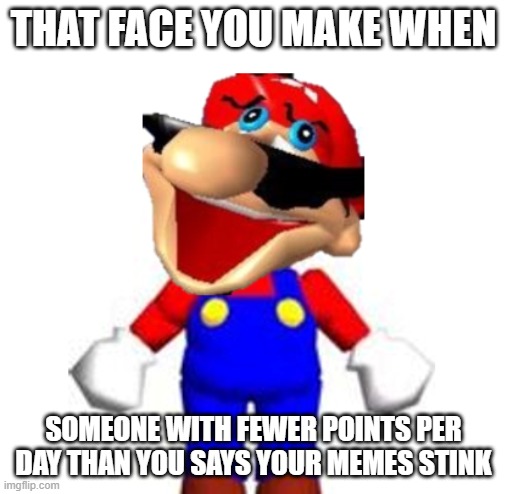 That Face You Make When | that face you make when; someone with fewer points per day than you says your memes stink | image tagged in smg4 silly mario | made w/ Imgflip meme maker