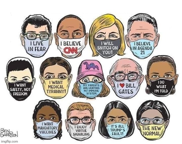 Covid Masks speak | image tagged in covid masks speak | made w/ Imgflip meme maker