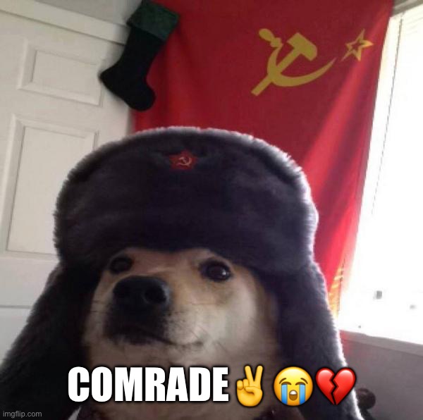 Russian Doge | Comrade✌️?? | image tagged in russian doge | made w/ Imgflip meme maker