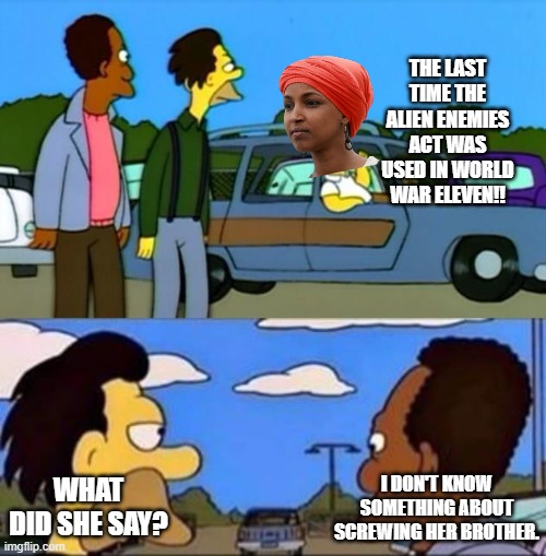 Ilhan Omar | The last time the alien enemies act was used in world war eleven!! What did she say? I Don't know something about screwing her Brother. | image tagged in homer car yelling,democrats,enemies,minnesota,fraud | made w/ Imgflip meme maker
