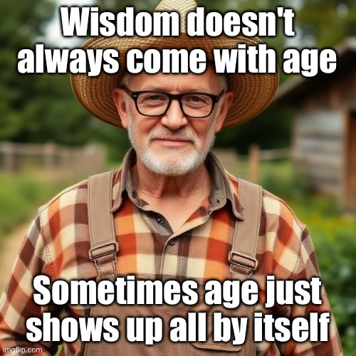 Wisdom | Wisdom doesn't always come with age; Sometimes age just shows up all by itself | image tagged in img_9408 jpeg,wisdom,growing older | made w/ Imgflip meme maker
