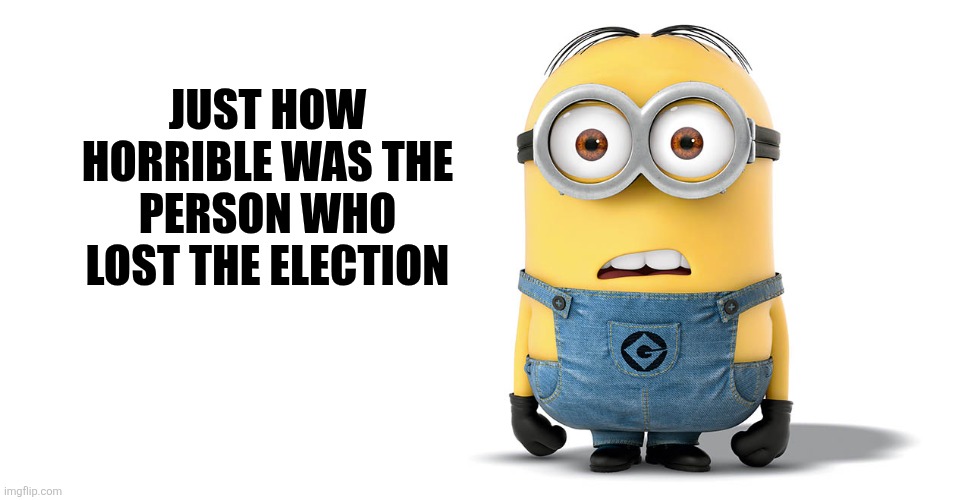 Just How horrible was the person who lost the election | image tagged in confused minion | made w/ Imgflip meme maker