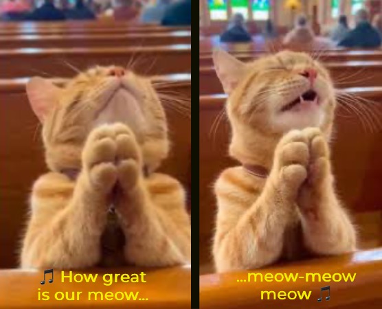 ? How great is our meow… …meow-meow
meow ? | made w/ Imgflip meme maker