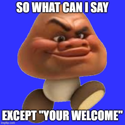 Maui Goomba | so what can i say except "your welcome" | image tagged in maui goomba | made w/ Imgflip meme maker
