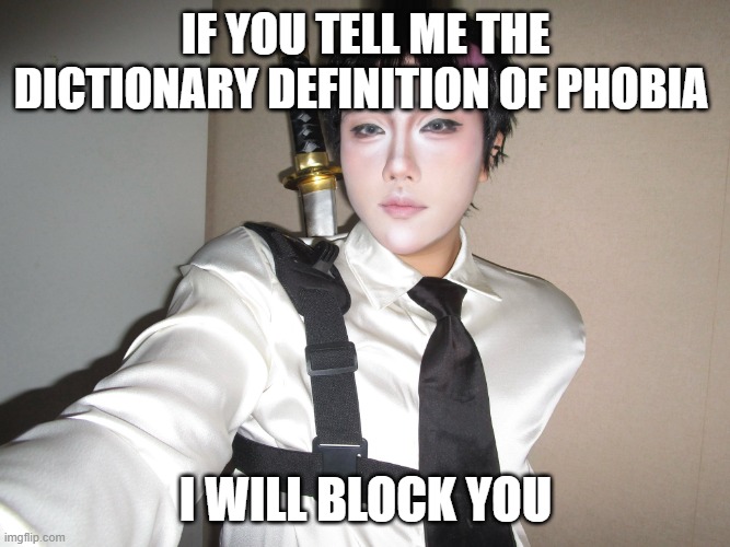 heterophobes are wimps and crybabies | if you tell me the dictionary definition of phobia; I will block you | image tagged in ryuliviayvesrat | made w/ Imgflip meme maker
