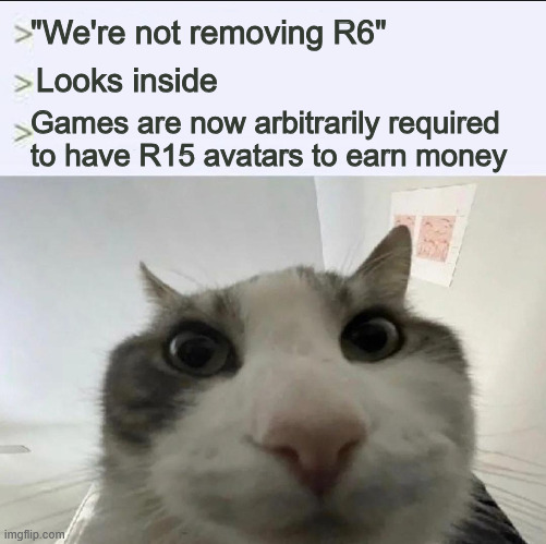 we're still in the dark ages... | "We're not removing R6"; Looks inside; Games are now arbitrarily required to have R15 avatars to earn money | image tagged in cat looks inside,roblox | made w/ Imgflip meme maker