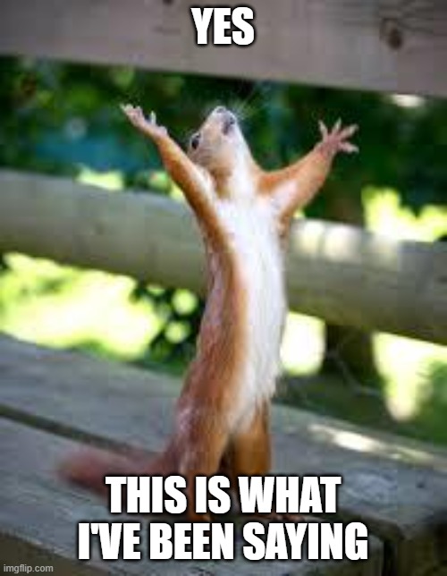 Praise Squirrel | YES this is what i've been saying | image tagged in praise squirrel | made w/ Imgflip meme maker