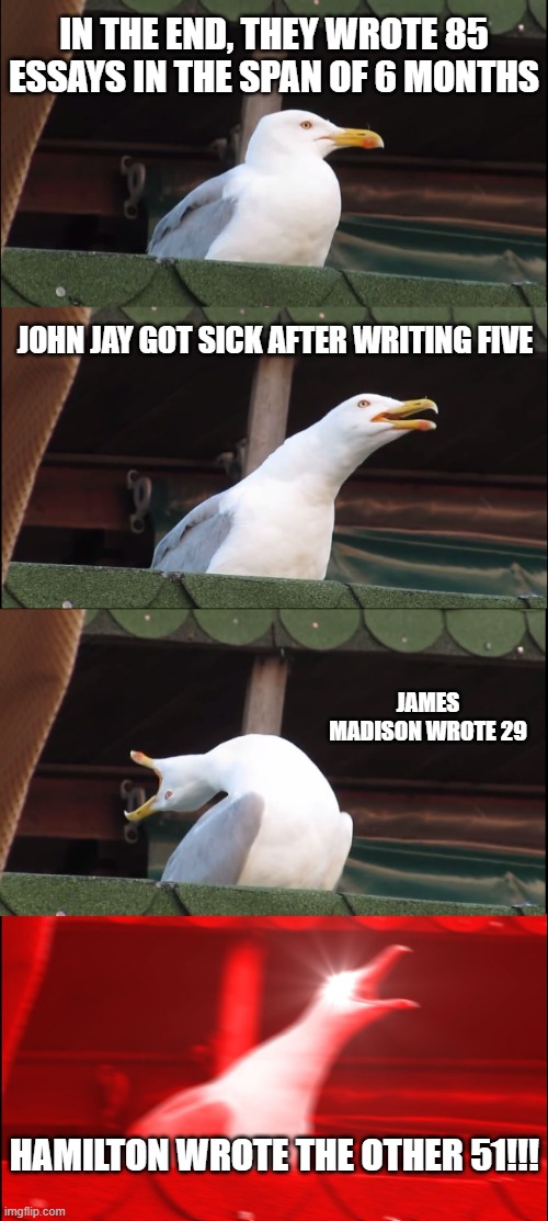 hamiltonnnnnn | In the end, they wrote 85 essays in the span of 6 months; John Jay got sick after writing five; James Madison wrote 29; HAMILTON WROTE THE OTHER 51!!! | image tagged in memes,inhaling seagull,hamilton,alexander hamilton | made w/ Imgflip meme maker