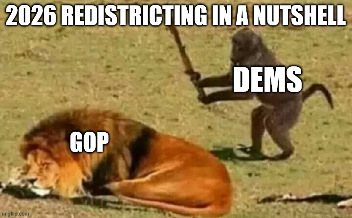 Bad idea | 2026 redistricting in a nutshell; dems; gop | image tagged in bad idea | made w/ Imgflip meme maker