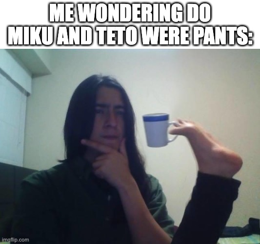 do they? | me wondering do miku and teto were pants: | image tagged in thinking guy cup foot,vocaloid | made w/ Imgflip meme maker