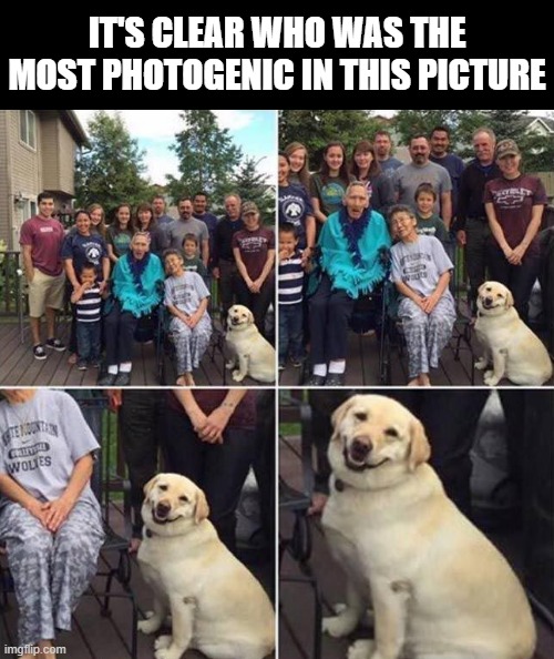 photogenic | it's clear who was the most photogenic in this picture | image tagged in memes | made w/ Imgflip meme maker