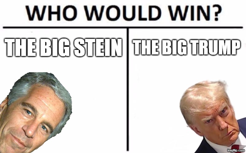 Image Title | The big stein; The big trump | image tagged in memes,who would win | made w/ Imgflip meme maker