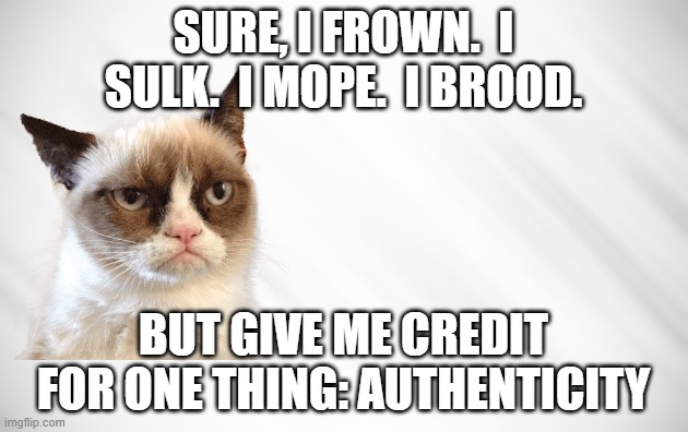 Grumpy Cat's Unacknowledged Virtue | sure, i frown.  i sulk.  i mope.  i brood. but give me credit for one thing: authenticity | image tagged in frown,sulk,mope,brood,authenticity | made w/ Imgflip meme maker