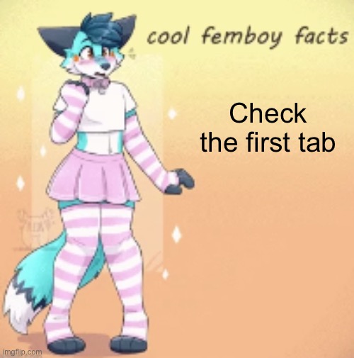 cool femboy facts | Check the first tab | image tagged in cool femboy facts | made w/ Imgflip meme maker