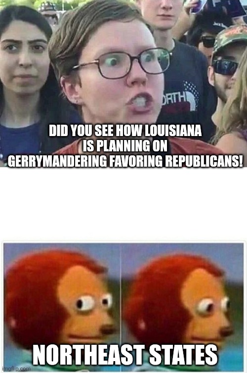Did you see how Louisiana is planning on gerrymandering favoring Republicans! Northeast states | image tagged in triggered liberal,memes,monkey puppet | made w/ Imgflip meme maker