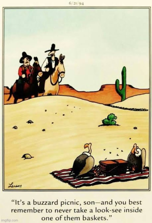 Even Yogi Bear wouldn’t steal that pic-a-nic basket… | image tagged in the far side,comics,buzzards,picnic,cowboys,dont look inside | made w/ Imgflip meme maker