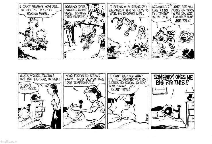 image tagged in calvin and hobbes,comics | made w/ Imgflip meme maker