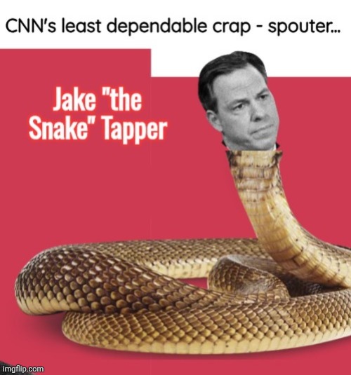 Jake the Snake Tapper | image tagged in jake the snake tapper | made w/ Imgflip meme maker