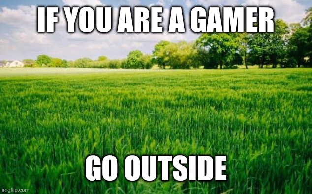 everyone knows that grass has a cpu that can play videogames | if you are a gamer; go outside | image tagged in funny,memes,gaming,touch grass,gamers | made w/ Imgflip meme maker