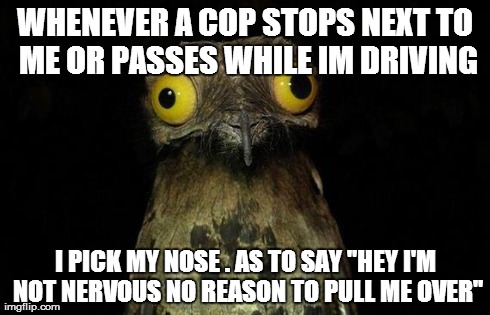 Weird Stuff I Do Potoo | WHENEVER A COP STOPS NEXT TO ME OR PASSES WHILE IM DRIVING I PICK MY NOSE . AS TO SAY "HEY I'M NOT NERVOUS NO REASON TO PULL ME OVER" | image tagged in memes,weird stuff i do potoo | made w/ Imgflip meme maker