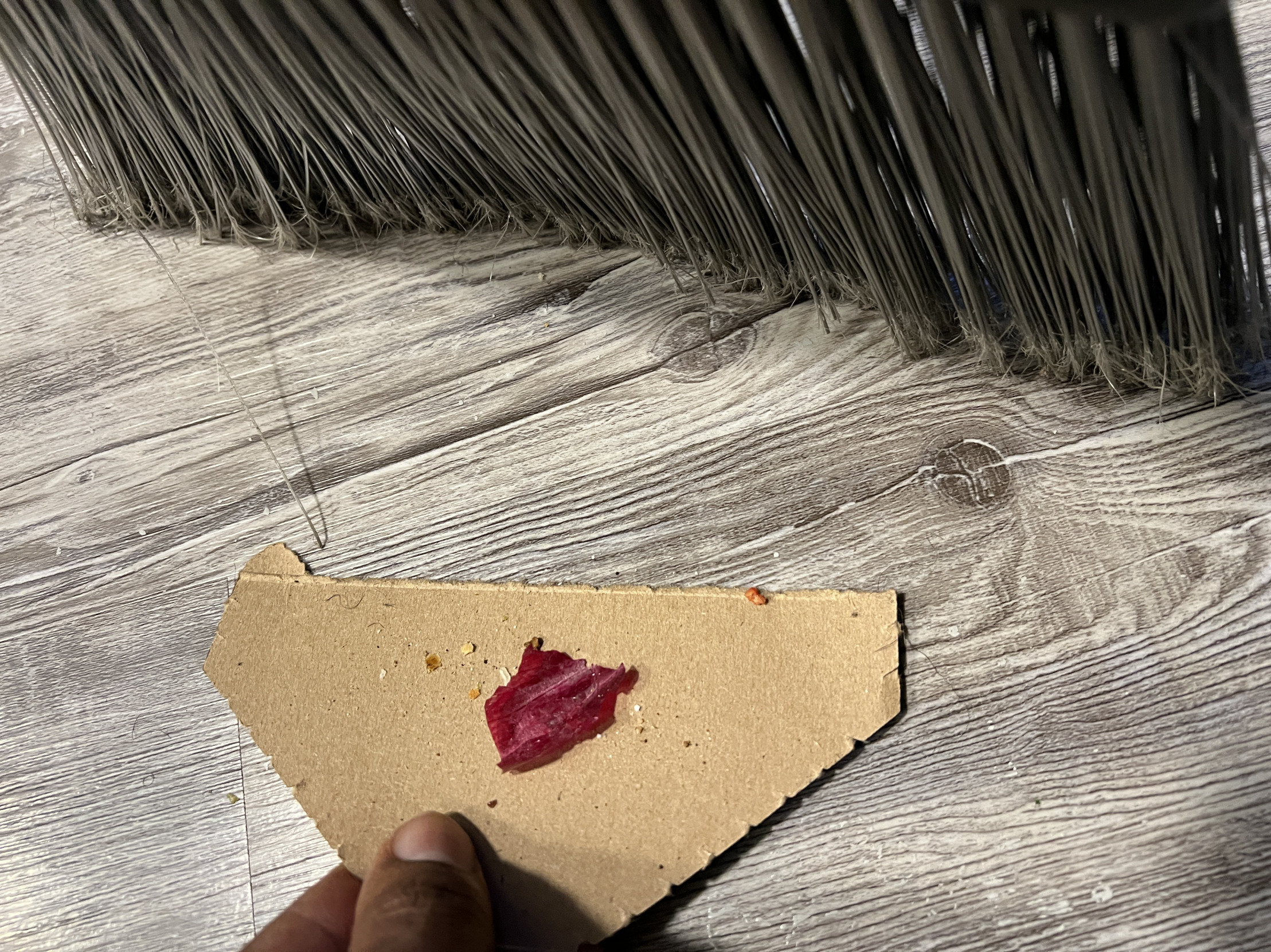 Cardboard Dustpan Blank Meme Template