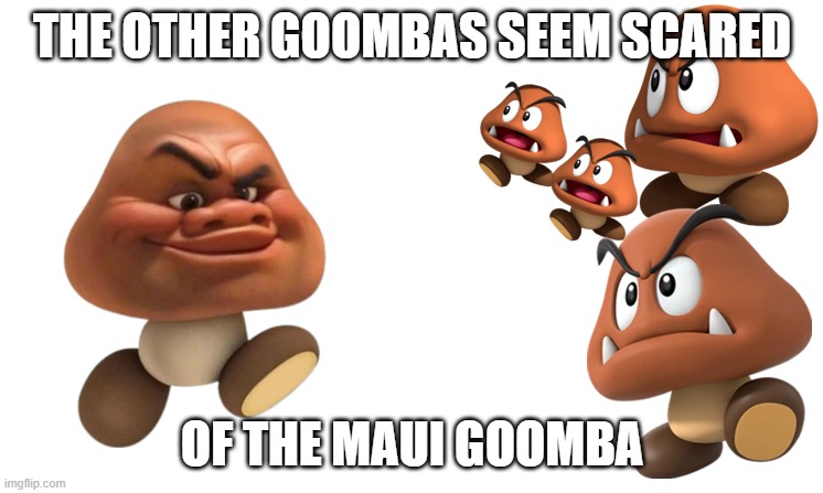 Maui Goomba meets normal Goombas | the other goombas seem scared; of the maui goomba | image tagged in maui goomba meets normal goombas | made w/ Imgflip meme maker