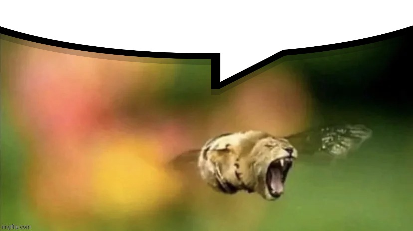 ㅤ | image tagged in bee lion | made w/ Imgflip meme maker