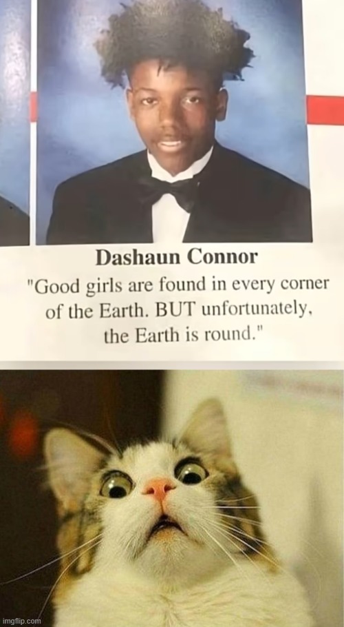 WAIT WHAT | image tagged in memes,scared cat | made w/ Imgflip meme maker