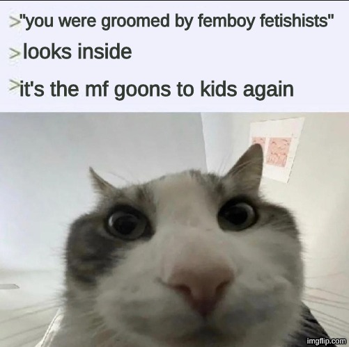 Cat looks inside | "you were groomed by femboy fetishists" looks inside it's the mf goons to kids again | image tagged in cat looks inside | made w/ Imgflip meme maker