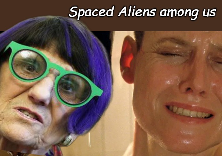 I finally understand, if we shut down aliens at the border, the Democrats lose voters and politicians. | Spaced Aliens among us | image tagged in alien 3 shouting at ripley | made w/ Imgflip meme maker