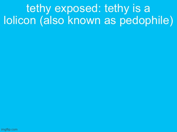tethy exposed: tethy is a lolicon (also known as pedophile) | made w/ Imgflip meme maker