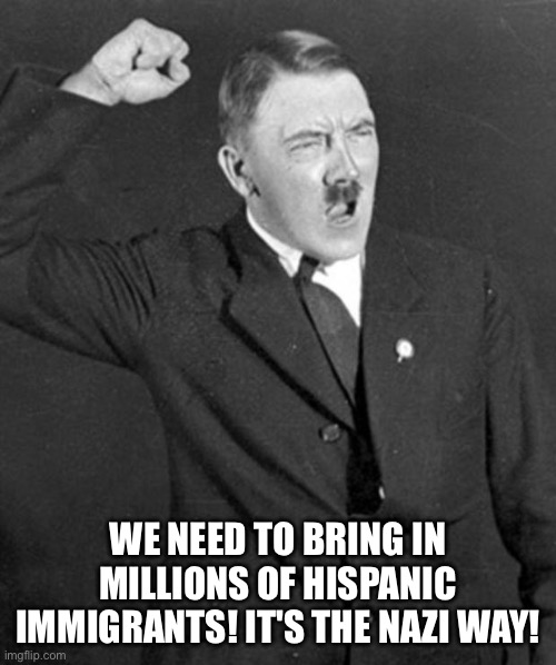 Angry Hitler | We need to bring in millions of Hispanic immigrants! It's the Nazi way! | image tagged in angry hitler | made w/ Imgflip meme maker