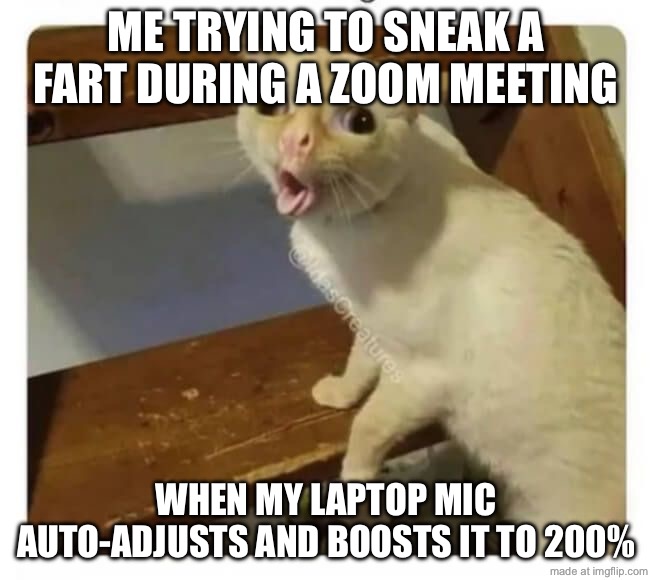 ME TRYING TO SNEAK A FART DURING A ZOOM MEETING; WHEN MY LAPTOP MIC AUTO-ADJUSTS AND BOOSTS IT TO 200% | ME TRYING TO SNEAK A FART DURING A ZOOM MEETING; WHEN MY LAPTOP MIC AUTO-ADJUSTS AND BOOSTS IT TO 200% | image tagged in coughing cat,hold fart,fart jokes,zoom,laptop,farting | made w/ Imgflip meme maker
