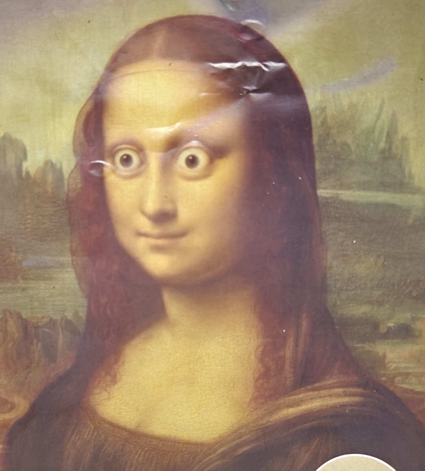 Mona eyes Blank Meme Template