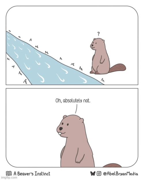 image tagged in beaver,river,water,absolutely,not,absolutely not | made w/ Imgflip meme maker