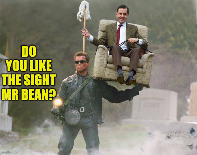Terminator Mr Bean carry | Do you like the sight Mr bean? | image tagged in terminator mr bean carry | made w/ Imgflip meme maker