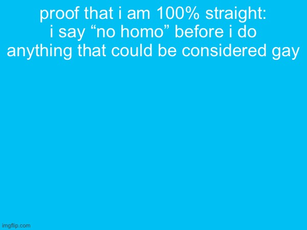 proof that i am 100% straight: i say “no homo” before i do anything that could be considered gay | made w/ Imgflip meme maker