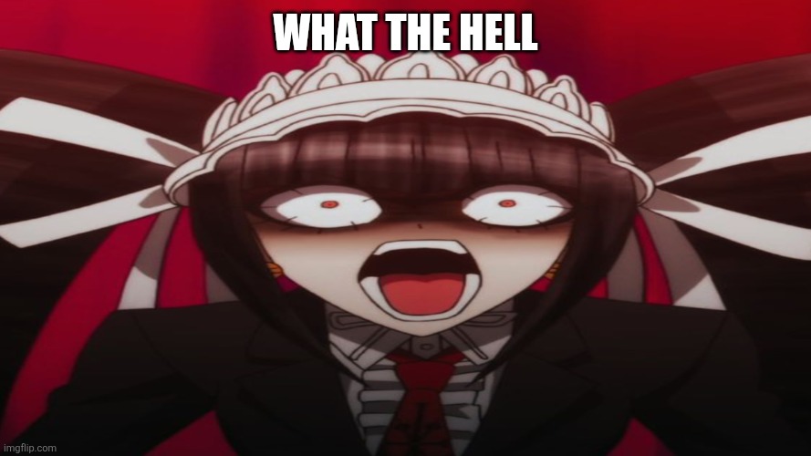 Celestian Ludenberger | What the hell | image tagged in celestian ludenberger | made w/ Imgflip meme maker