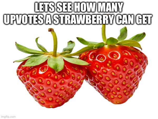 Im not upvote begging I’m just wondering because I am curious | Lets see how many upvotes a strawberry can get | image tagged in strawberry | made w/ Imgflip meme maker
