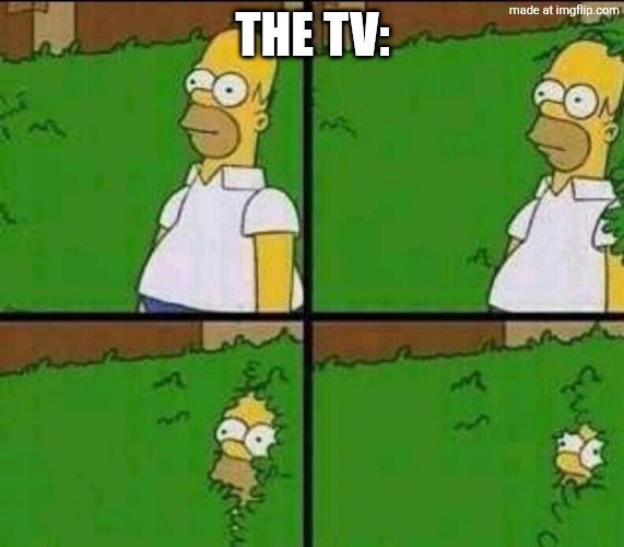 Homer Simpson in Bush - Large | The tv: | image tagged in homer simpson in bush - large | made w/ Imgflip meme maker