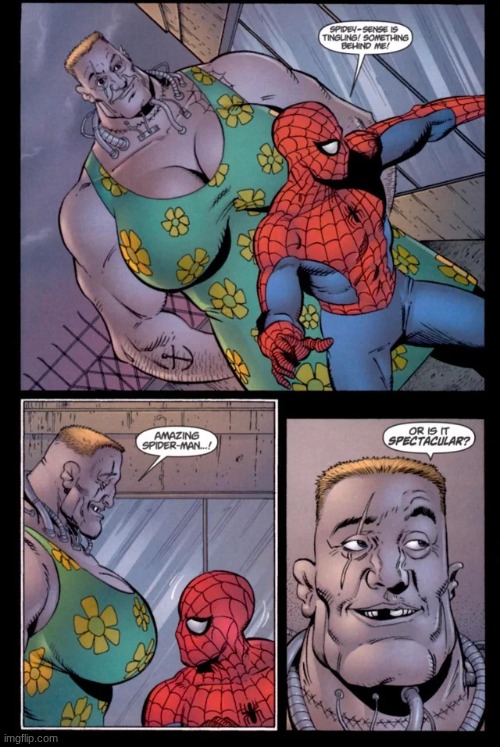 the side profile is crazy bruh | image tagged in punisher-and-spider-man-take-on-the-ruthless-russian-v0-2ffwp06s | made w/ Imgflip meme maker