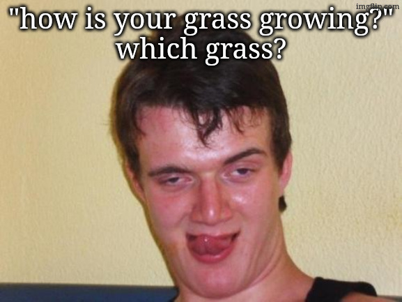 10 guy stoned | "how is your grass growing?"
which grass? | image tagged in 10 guy stoned | made w/ Imgflip meme maker