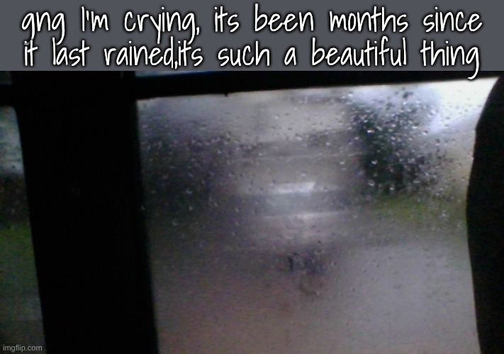 gng I'm crying, its been months since it last rained,its such a beautiful thing | made w/ Imgflip meme maker