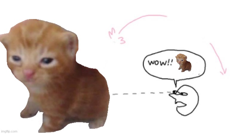 herbert | image tagged in wow cool robot,herbert | made w/ Imgflip meme maker