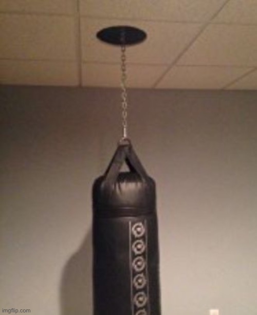 Punching bag | image tagged in punching bag | made w/ Imgflip meme maker