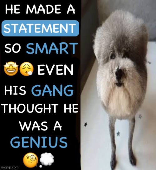 He made a statement so smart even his gang thought genius | image tagged in he made a statement so smart even his gang thought genius | made w/ Imgflip meme maker