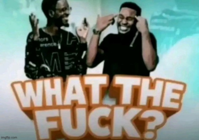 what the fuck? | image tagged in what the fuck | made w/ Imgflip meme maker
